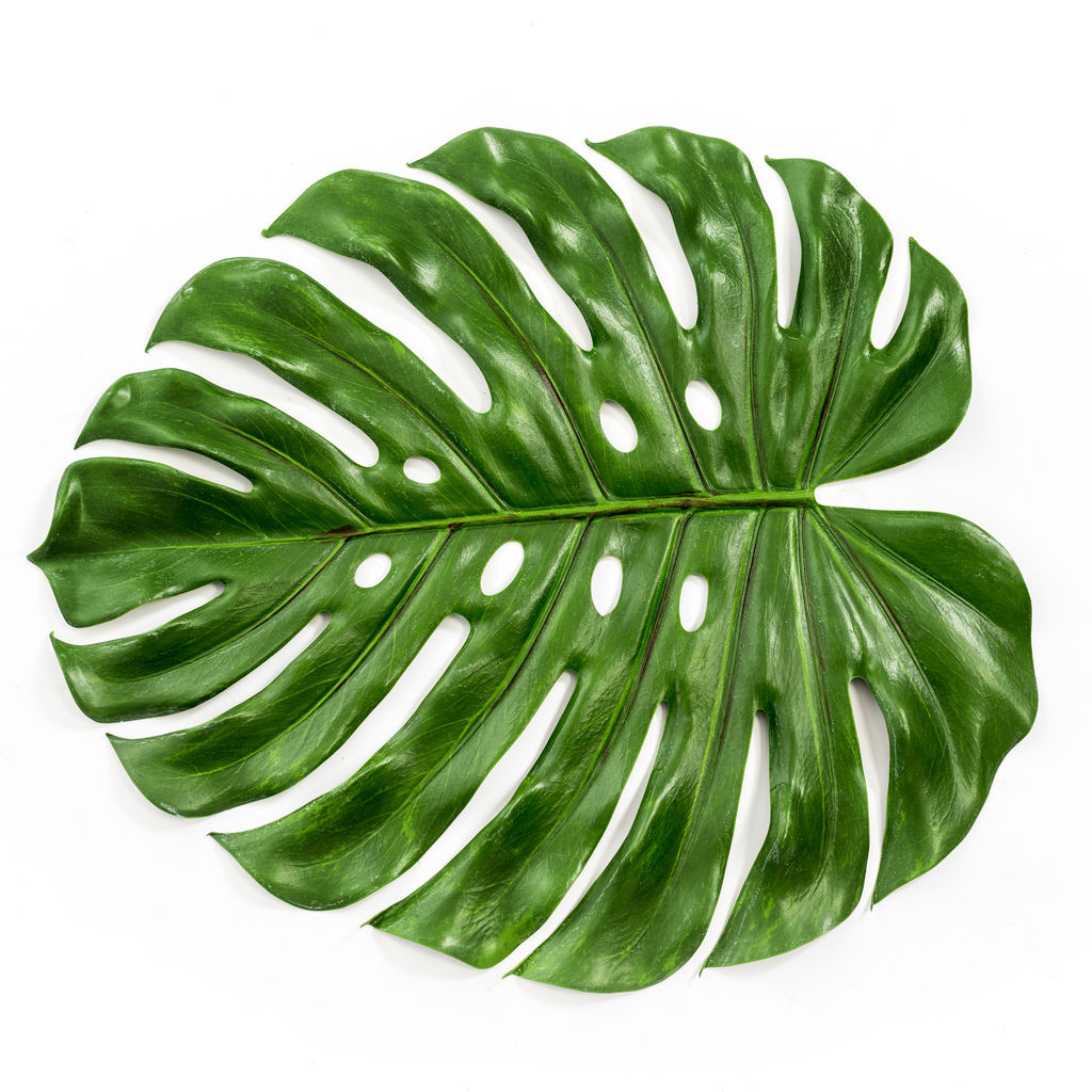 Monstera Leaf Placemat.