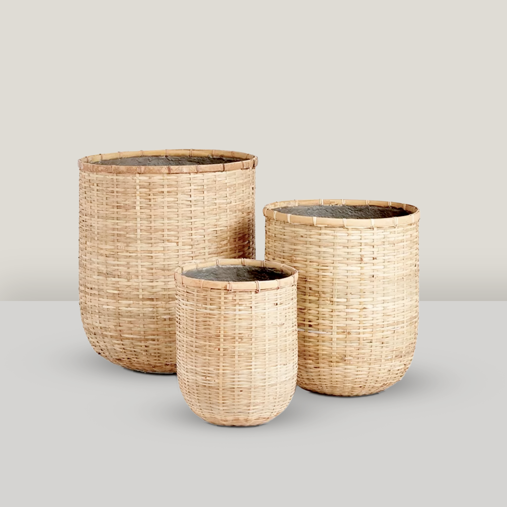 Bamboo Cylinder Pots