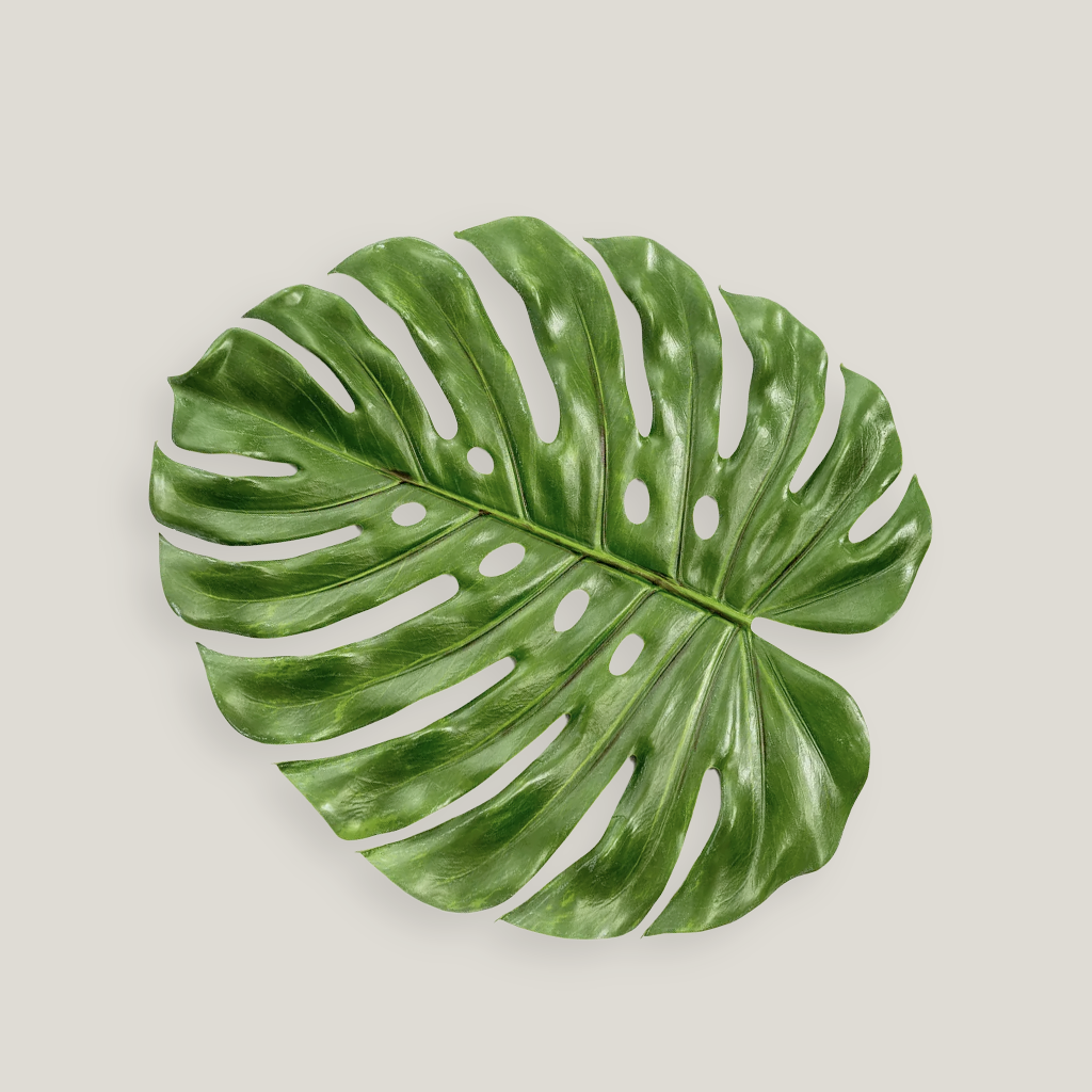 Monstera 18"x16" Leaf Placemat